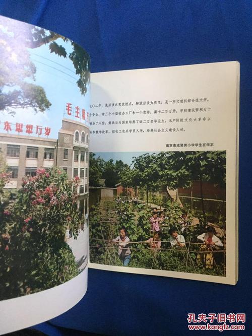 中国旅行上海杭州南京无锡苏州
